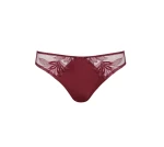 CINDY stringi  